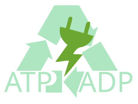 Logo für Elektrochemische ATP Regeneration