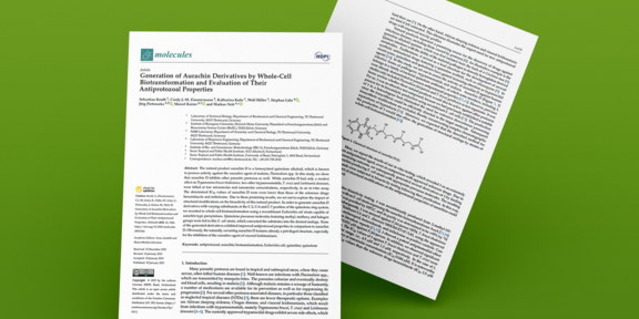 Mock Up of the first 2 pages of the paper