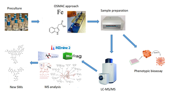 Schema des Screening-Workflows für Metabolite