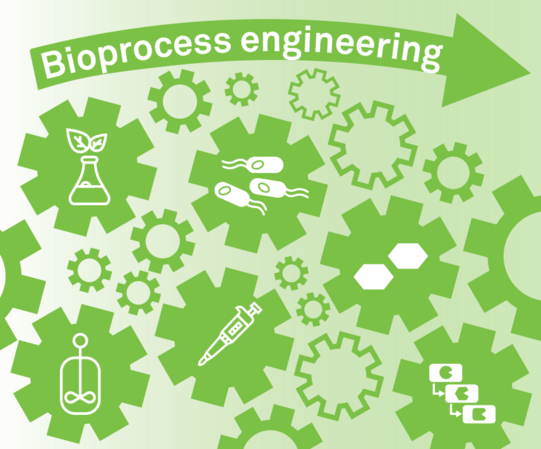 Research topics of the chair for bioprocess engineering in icons